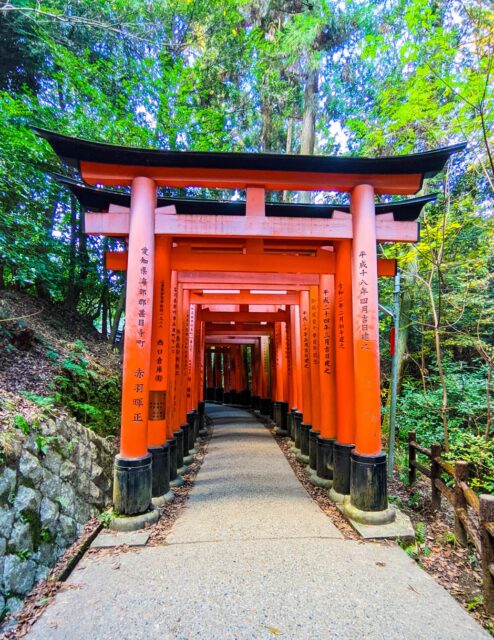 Pathway lined with countless bright vermilion torii gates at Fushimi Inari Taisha in Kyoto, Japan, forming a tunnel-like corridor through the forest. The gates, inscribed with black kanji characters, stand closely together on both sides of the stone walkway, leading visitors deeper into the sacred wooded hillside. 