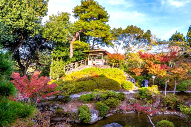 Scenic view of Yoshikien Garden in Nara, featuring a traditional wooden teahouse on a hill surrounded by colorful autumn foliage. The garden’s stone steps, manicured shrubs, and tranquil pond create a serene atmosphere typical of Japanese landscape design.