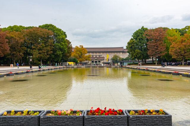 View across the pond at Ueno Park in Tokyo, Japan, with autumn trees and the Tokyo National Museum in the background