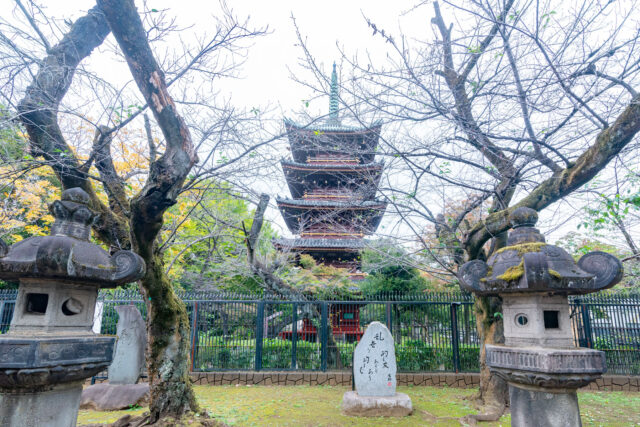 Tall red five-storied pagoda of Kaneiji Temple framed by bare trees and stone lanterns in Ueno Park.
