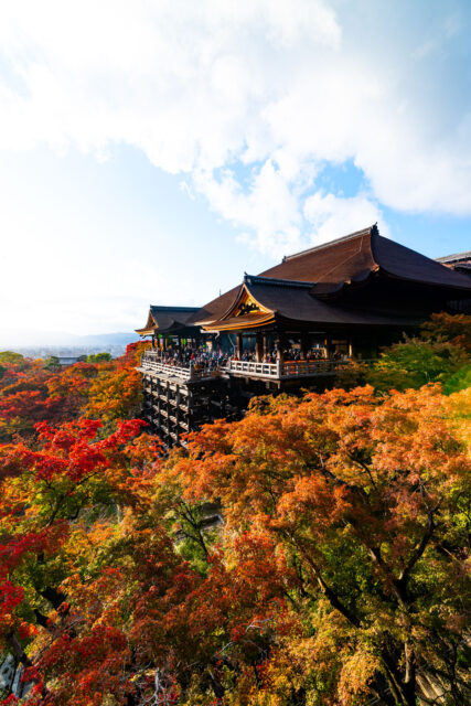 Panoramic view of Kiyomizu-dera Temple in Kyoto, Japan, with traditional wooden terrace packed with visitors, surrounded by vibrant autumn foliage in shades of red, orange, and yellow under a bright blue sky.