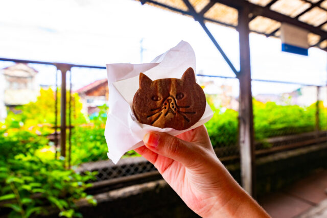 Cat-shaped pastry from Onomichi Hibbi Coffee held in hand, with the backdrop of train tracks and greenery.