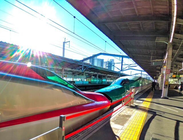 Two Japanese Shinkansen bullet trains connected nose-to-nose at a station platform, with sunlight casting a strong glare across the sleek silver, green, and red trains.