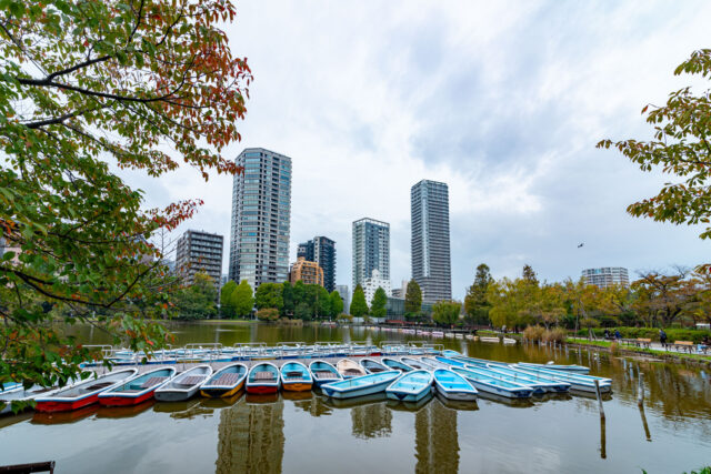 Row of colorful blue and white rental boats lined up on Shinobazu Pond with tall modern buildings rising in the background.