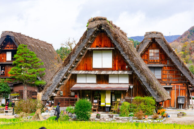 Traditional gassho-zukuri farmhouse with steep thatched roof housing Coffee Hina café in Shirakawa-go, Japan, with wooden walls, sliding shoji windows, and a small garden in front.