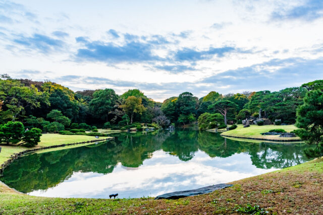 Scenic view of the lake surrounded by trees and well-preserved lawns at Rikugien Gardens in Tokyo, Japan