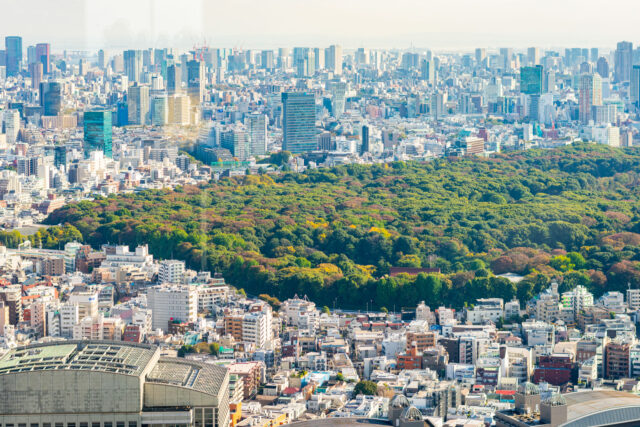 Aerial view of Shinjuku Gyoen National Garden surrounded by Tokyo skyscrapers from the Tokyo Metropolitan Government Building