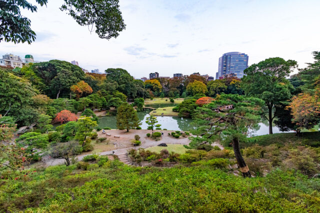 Scenic view of Rikugien Garden in Tokyo Japan with autumn foliage, traditional pond, walking paths, and city skyline in the background.