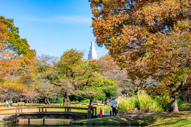 Autumn scenery at Shinjuku Gyoen National Garden in Tokyo with colorful fall foliage, a wooden bridge over a pond, and the NTT Docomo Yoyogi Building rising in the background on a sunny day